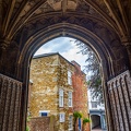 20230718- DSC6718-2-HDR