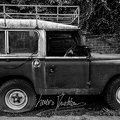 20230716- DSC5979