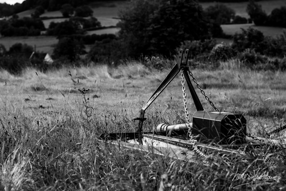 20230728- DSC8464-2