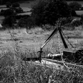 20230728- DSC8464-2