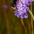 20230720- DSC7876