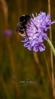 20230720- DSC7876