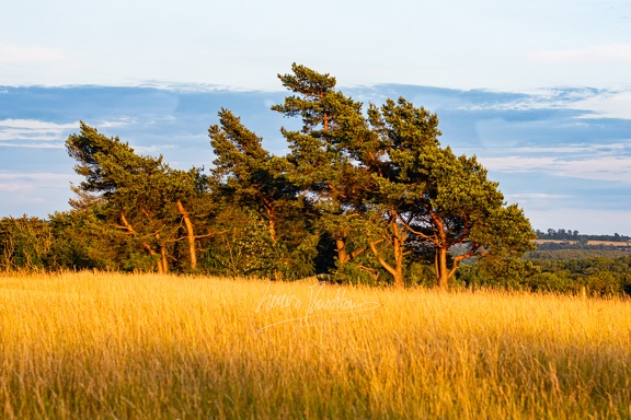 20230720- DSC7886-HDR