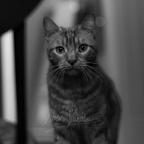 DSC00412